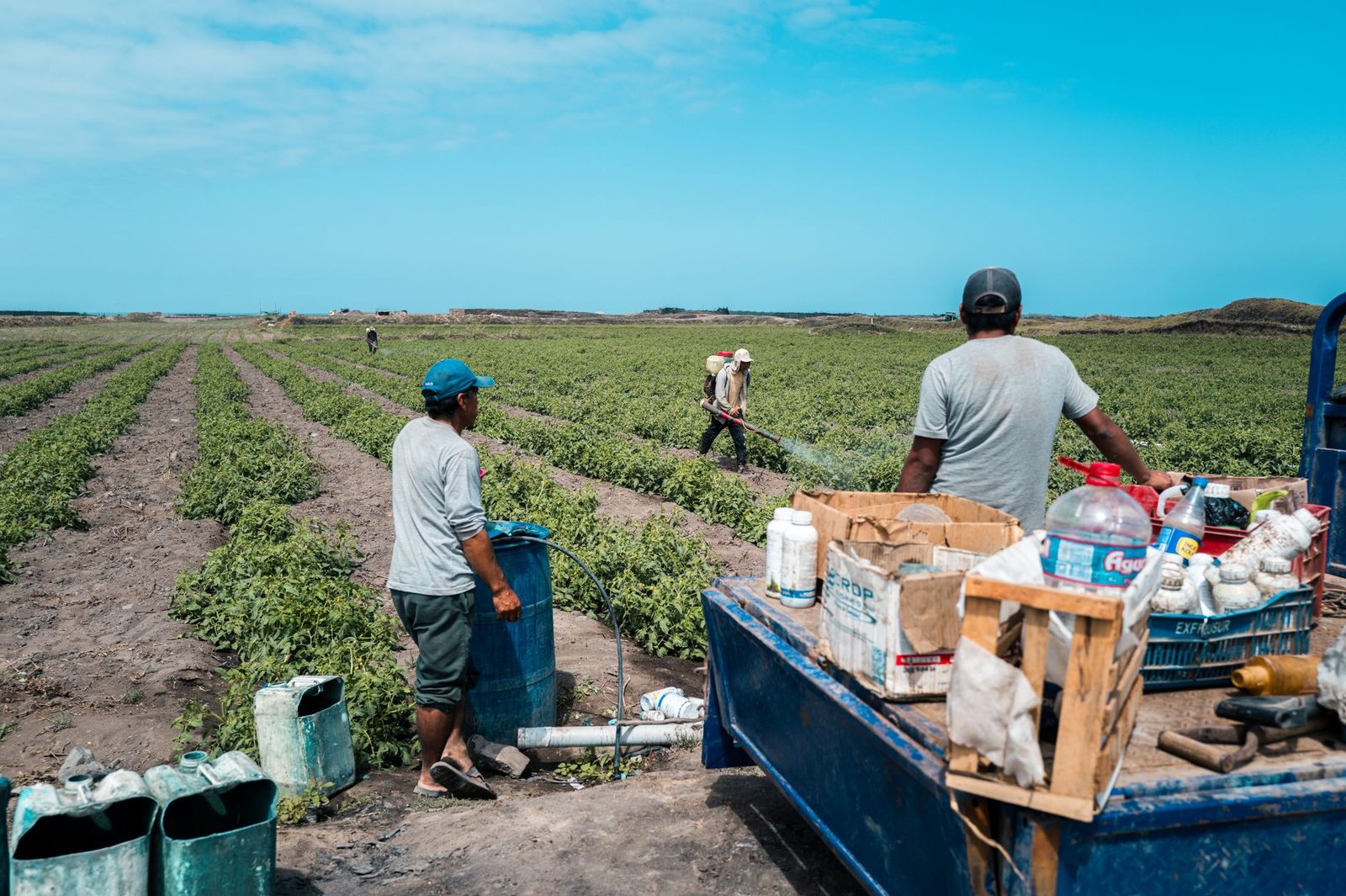 Farmers tending crops in a field near Huanchaco, Peru, under bright sunshine.
Note: The photo shows Peru, not Florida, so a reader might be confused by it on this page. You may want a Florida-related image or a caption that explains the photo's relevance.