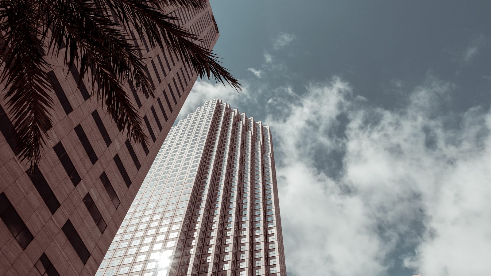 Low angle view of a modern Miami skyscraper rising above palm trees under a cloudy sky.