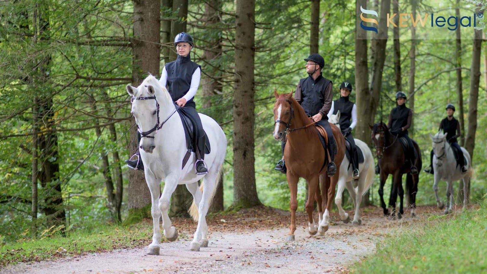 Group horseback riding through forest trail.