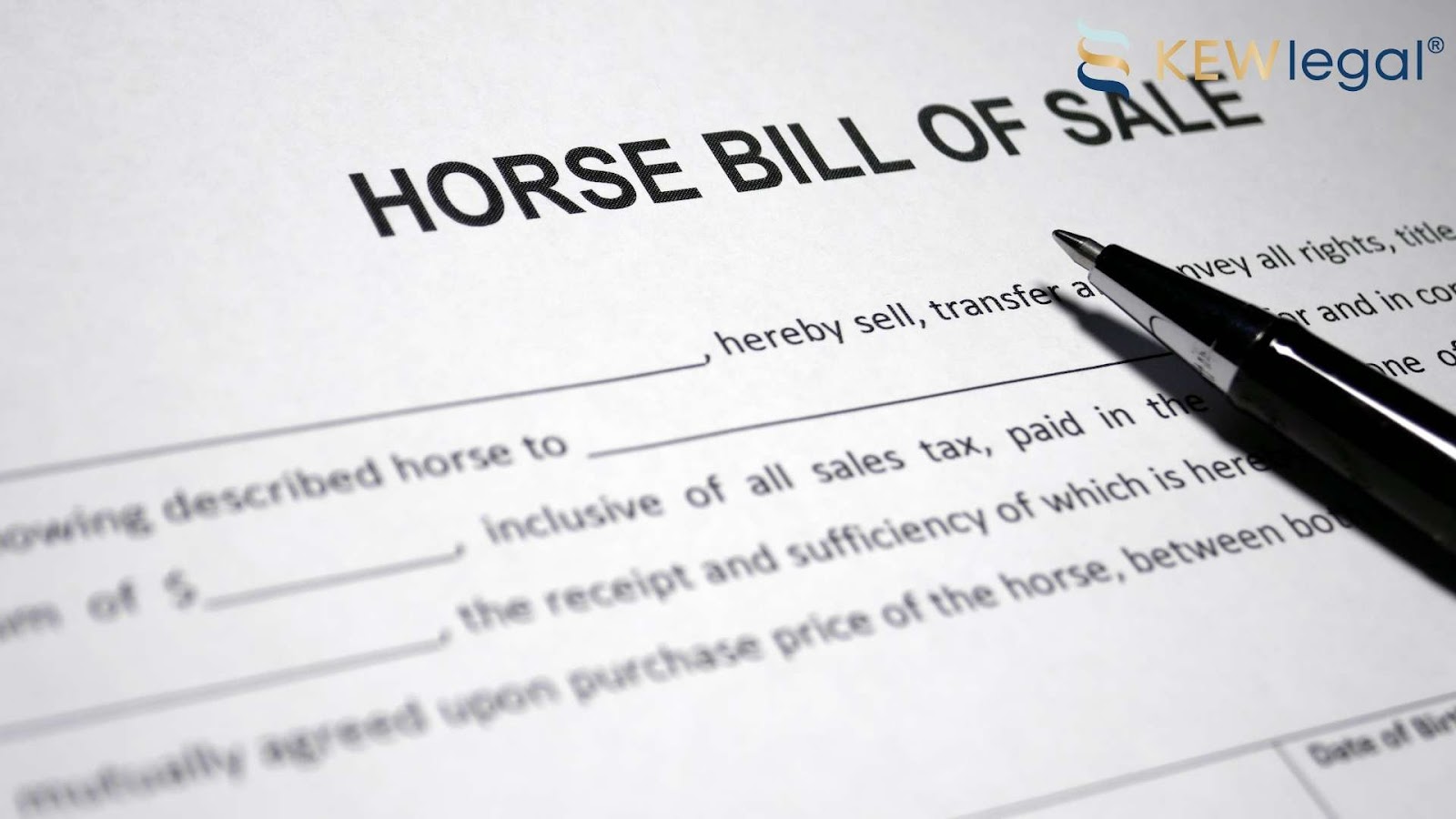 Horse bill of sale document with pen
